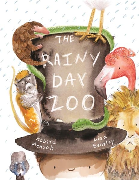 The Rainy Day Zoo