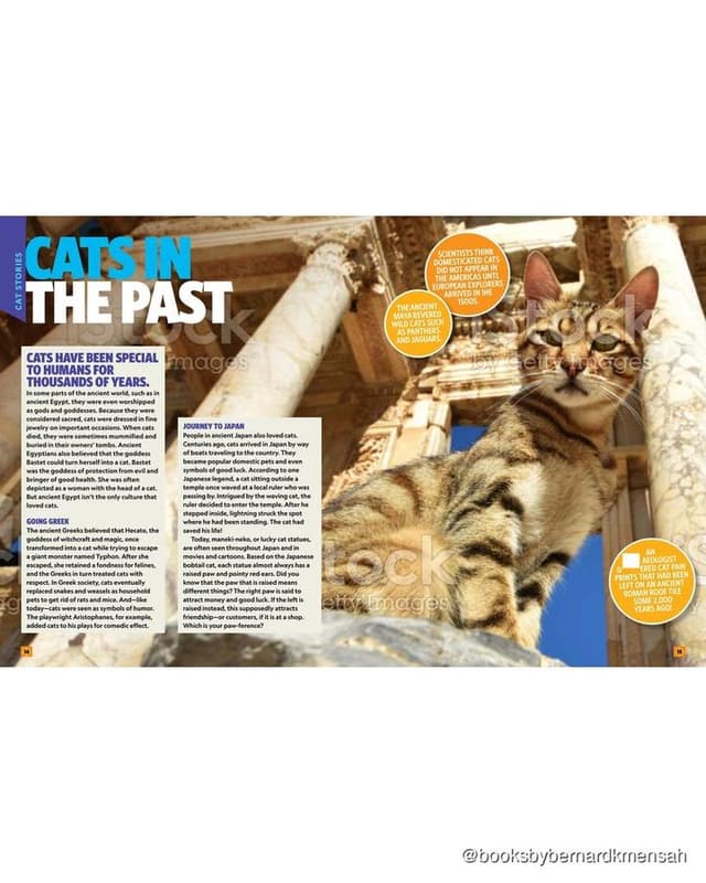 Can't Get Enough Cat Stuff interior spread 1