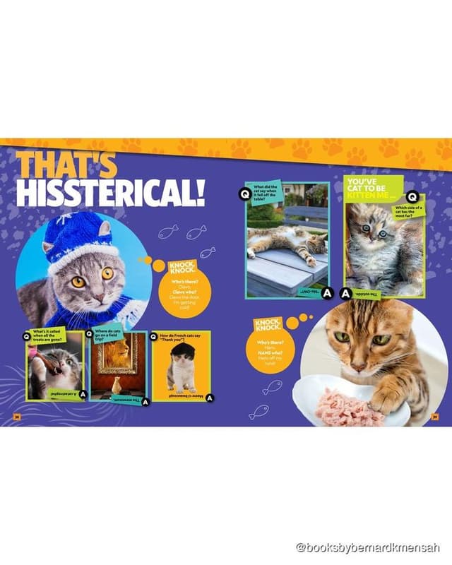 Can't Get Enough Cat Stuff interior spread 2