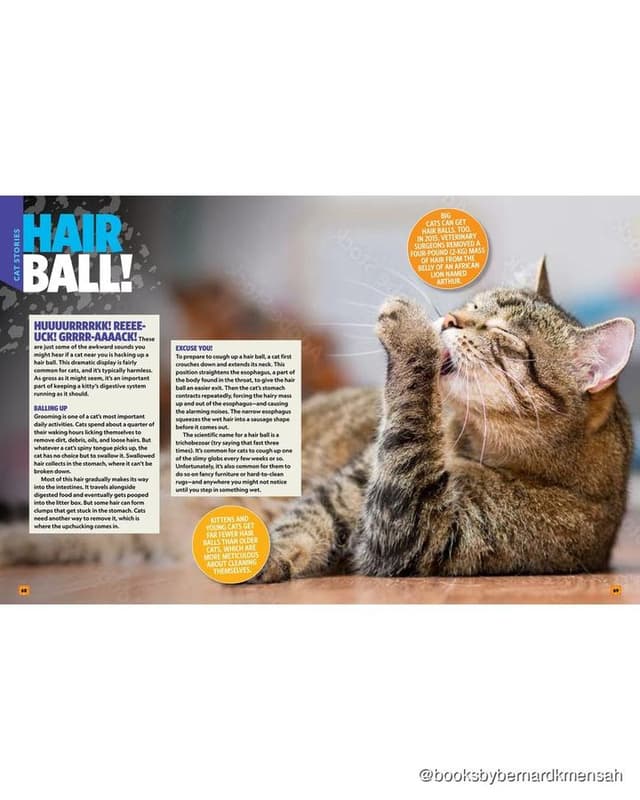 Can't Get Enough Cat Stuff interior spread 3